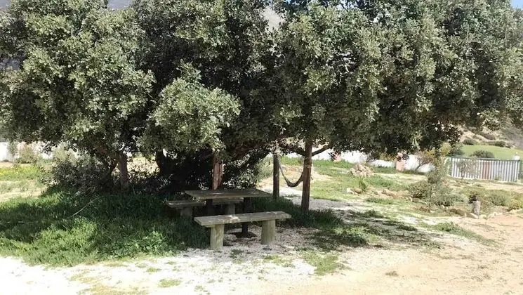 Ev, 2 Yatak Odası, Şömine