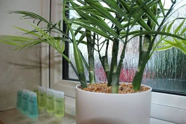 Family Apart Daire, 2 Yatak Odası