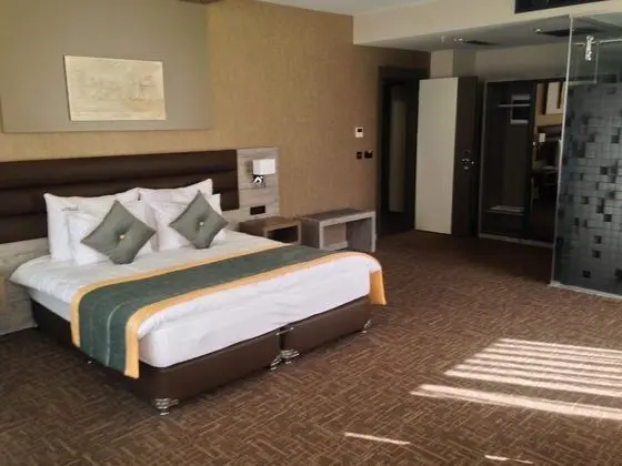 Deluxe Oda,Şehir Manzaralı