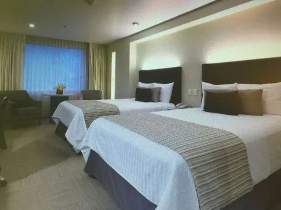 Standart (Standard Room Double Beds)