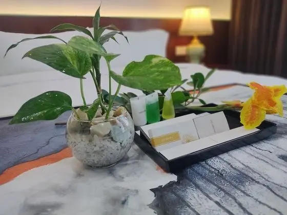 Deluxe İki Ayrı Yataklı Oda