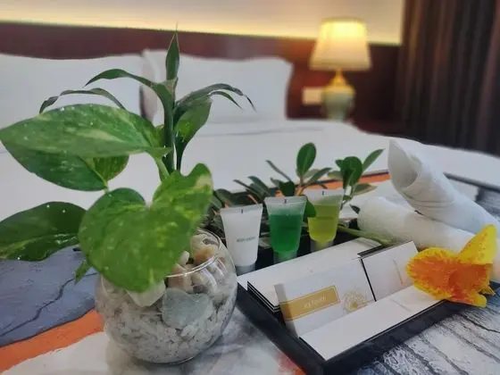 Deluxe İki Ayrı Yataklı Oda