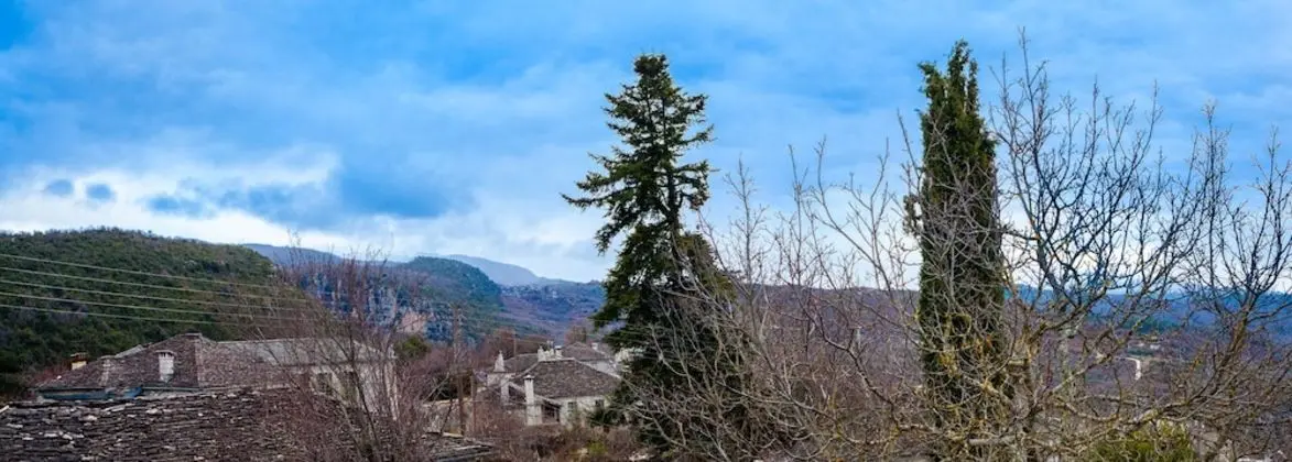 Çatı Katı (Loft)