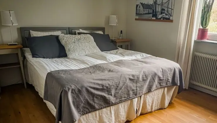 Standard Tek Büyük Yataklı Oda, Şehir Manzaralı