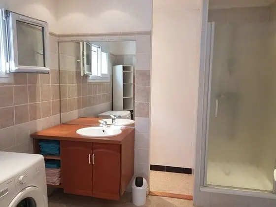 Süit