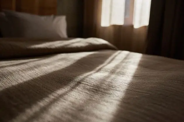 Deluxe Tek Büyük Yataklı Oda (Granitowy standard)