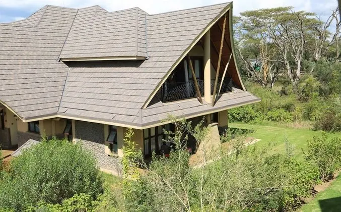 Executive Tek Büyük Yataklı Oda (Garden)