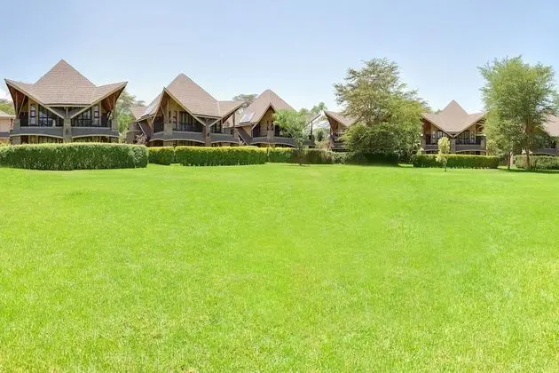 Executive Tek Büyük Yataklı Oda (Garden)
