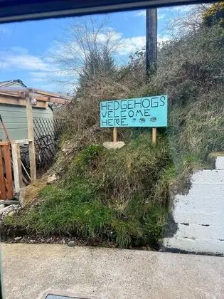 Kır Evi, Özel Banyo (Scenic cottage)