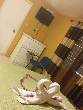 Deluxe Tek Büyük Yataklı Oda, 1 Yatak Odası, Bahçe Manzaralı