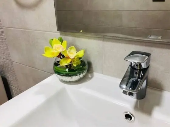Deluxe Apart Daire, 2 Yatak Odası