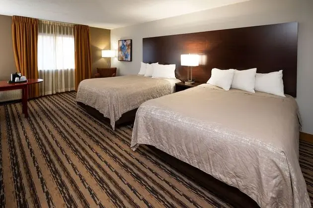 Deluxe Oda, 2 Büyük (Queen) Boy Yatak