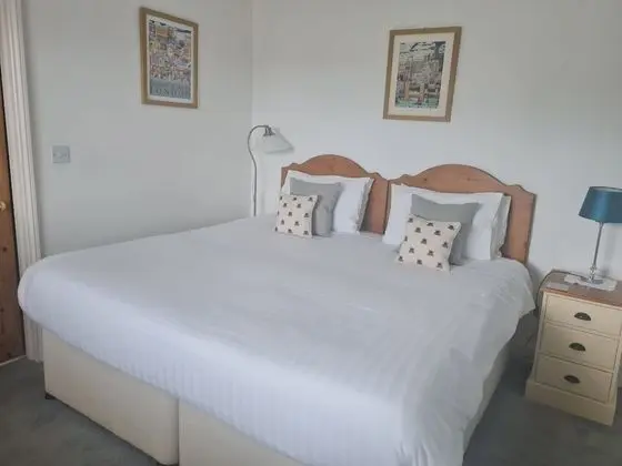 Deluxe Tek Büyük Yataklı Oda, Banyolu/Duşlu (Room 2)