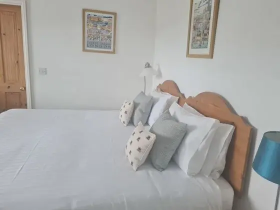 Deluxe Tek Büyük Yataklı Oda, Banyolu/Duşlu (Room 2)