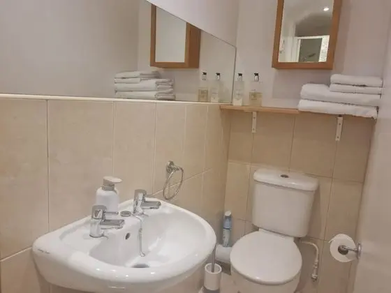 Deluxe Tek Büyük Yataklı Oda, Banyolu/Duşlu (Room 2)