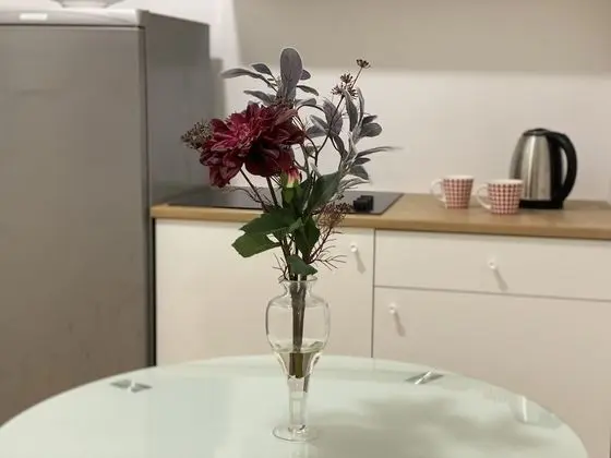 Standard Apart Daire