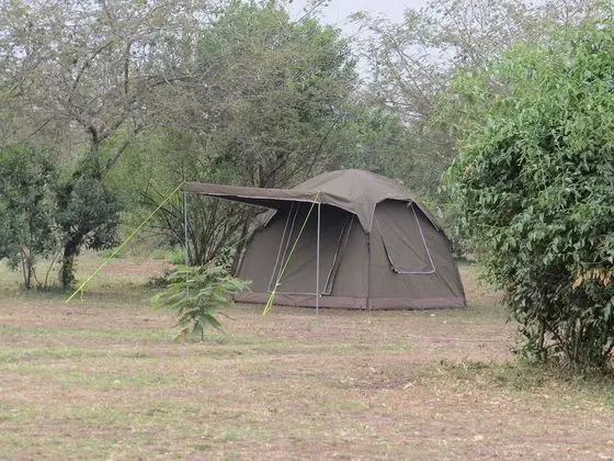 Basic Çadır (No beds in tent. Mattress only)