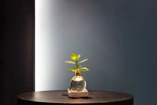 Luxury Oda, Sigara İçilmez, Şehir Manzaralı