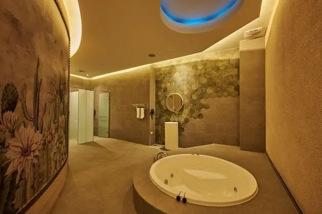 Premium Tek Büyük Yataklı Oda (Check in after 9PM)