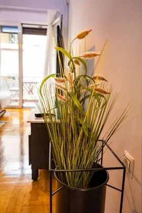 Apart Daire, Birden Çok Yatak