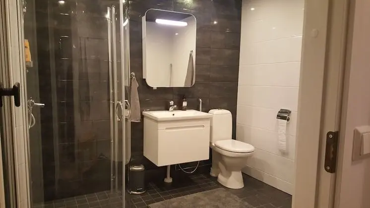 Apart Daire, 1 Yatak Odası, Sauna