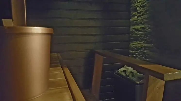 Apart Daire, 1 Yatak Odası, Sauna