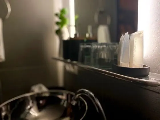 Luxury Süit, 1 En Büyük (King) Boy Yatak, Sıcak Su Havuzu, Executive Katı