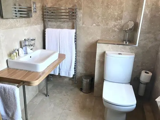 Superior Tek Büyük Yataklı Oda