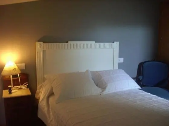 Tek Büyük Yataklı Oda, 1 Büyük (Queen) Boy Yatak, Balkon, Üzüm Asması Manzaralı