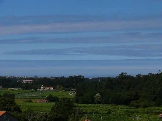 Tek Büyük Yataklı Oda, 1 Büyük (Queen) Boy Yatak, Balkon, Üzüm Asması Manzaralı