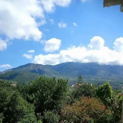 Stüdyo (Andrea)
