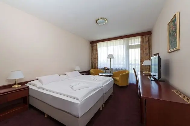 Standard Room (Alameda Wing)