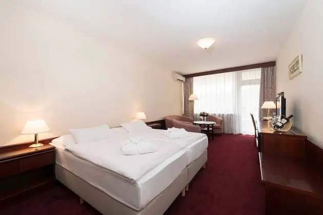 Standard Single Room (Alameda Wing)