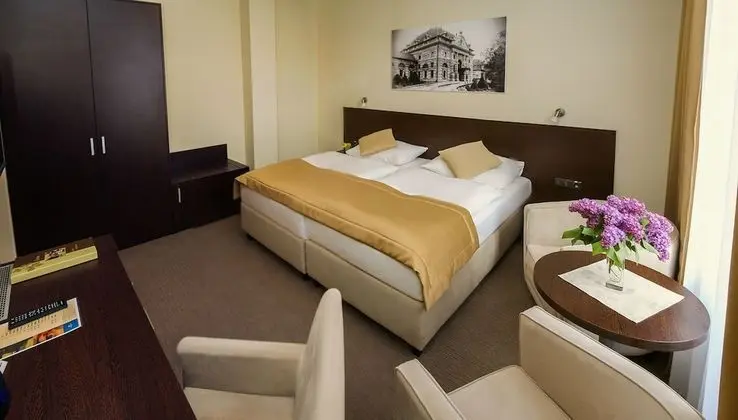 Comfort Tek Büyük Yataklı Oda, 1 Yatak Odası, Banyolu/Duşlu