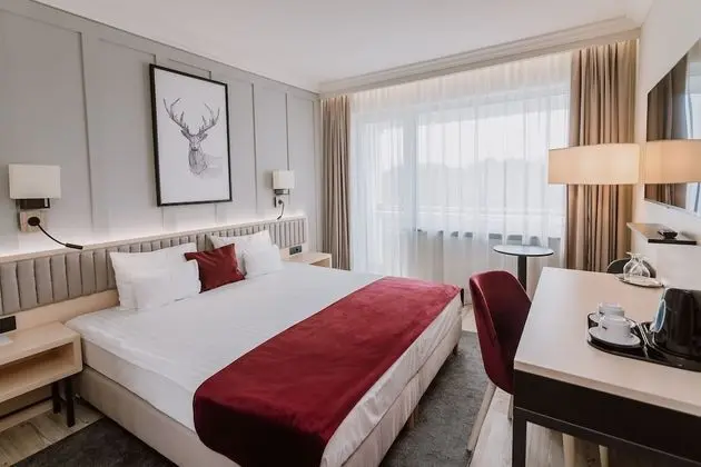 Deluxe İki Ayrı Yataklı Oda