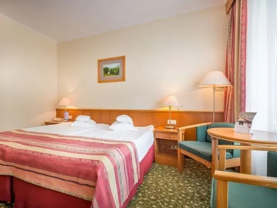 Superior Tek Büyük veya İki Ayrı Yataklı Oda