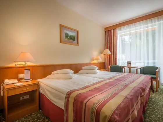 Superior Tek Büyük veya İki Ayrı Yataklı Oda