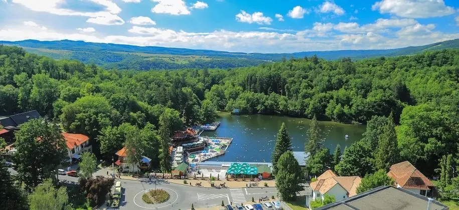 Superior Tek Büyük veya İki Ayrı Yataklı Oda