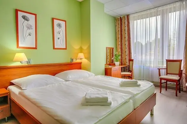 Superior Tek Büyük Yataklı Oda