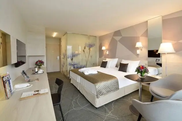 Premium Tek Büyük Yataklı Oda