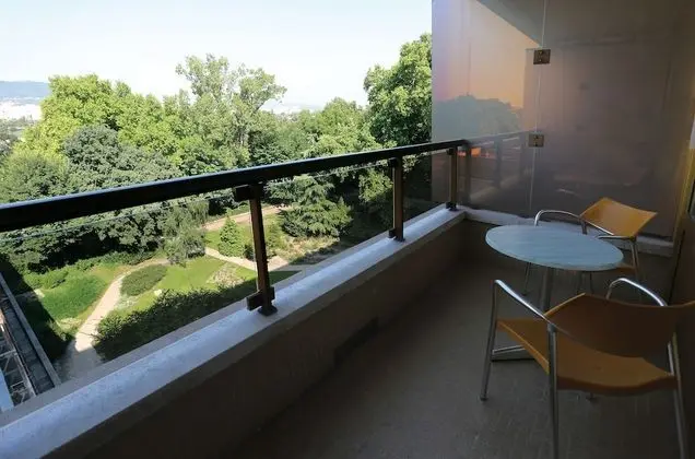 Premium Tek Büyük Yataklı Oda