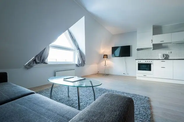 Superior Apart Daire, 1 Yatak Odası, Şehir Manzaralı