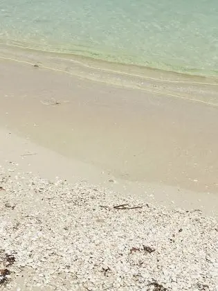 Ev, 4 Yatak Odası, Sigara İçilebilir