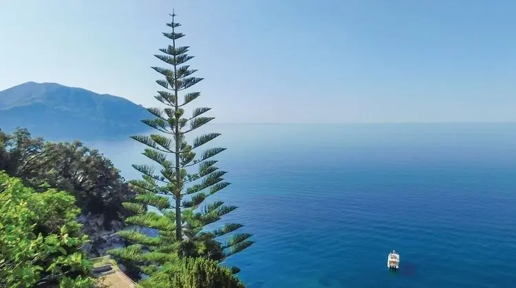 Villa, 5 Yatak Odası, Sigara İçilebilir, Şömine