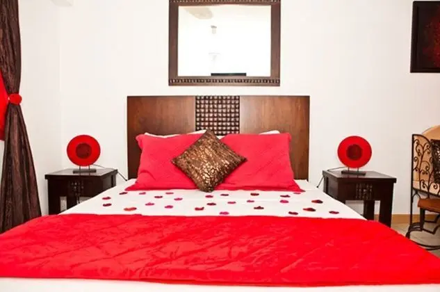 Deluxe Tek Büyük Yataklı Oda (Passion)