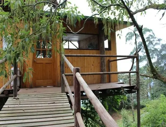 Panoramic Tek Büyük Yataklı Oda