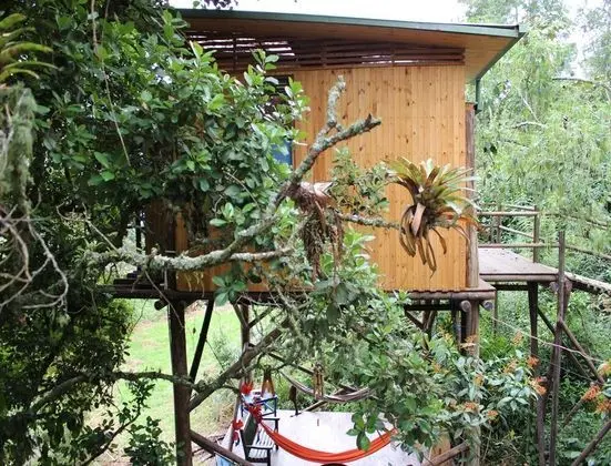 Panoramic Tek Büyük Yataklı Oda