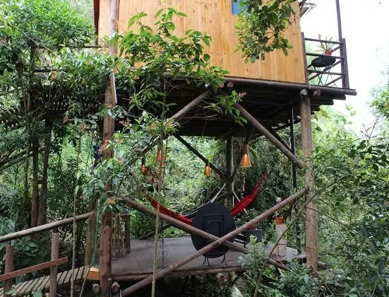 Panoramic Tek Büyük Yataklı Oda