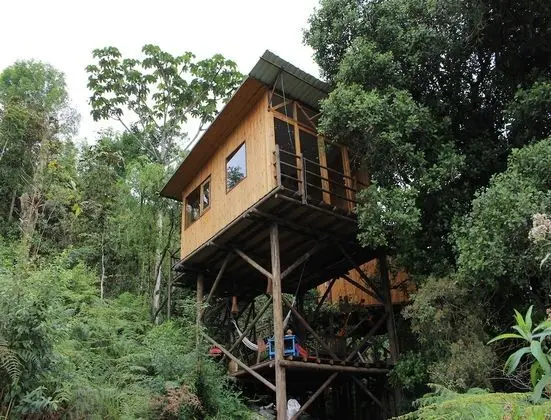 Traditional Tek Büyük Yataklı Oda