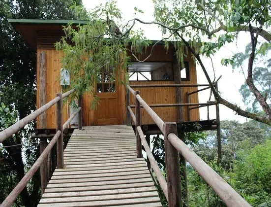 Traditional Tek Büyük Yataklı Oda